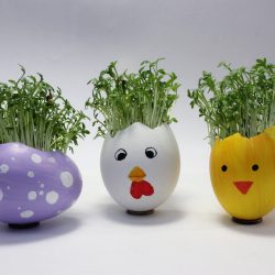 DIY: Kresse Eier – Einfache und schnelle Osterdeko selbstgemacht