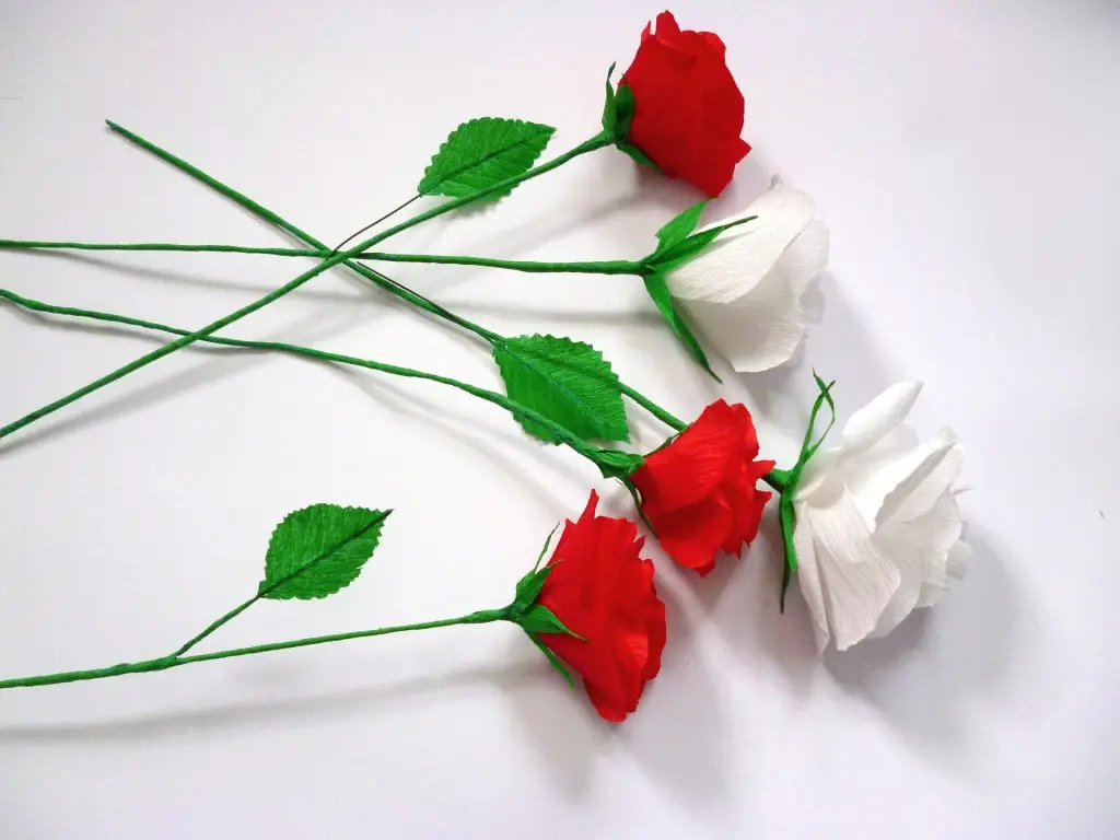 Weiße und rote Rosen aus Krepppapier selber machen