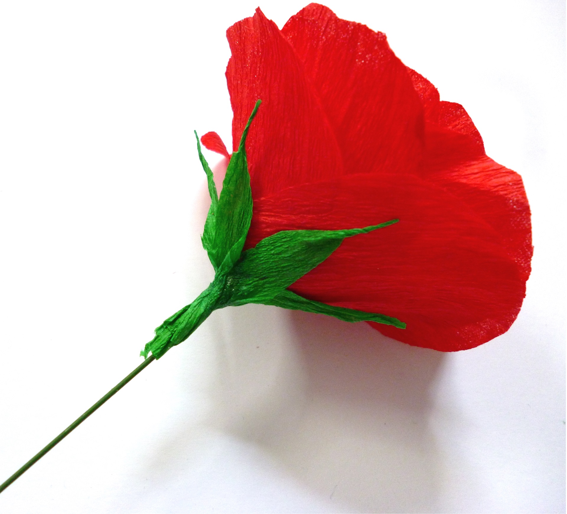 Anleitung: Blumen aus Krepppapier basteln - 3 Varianten