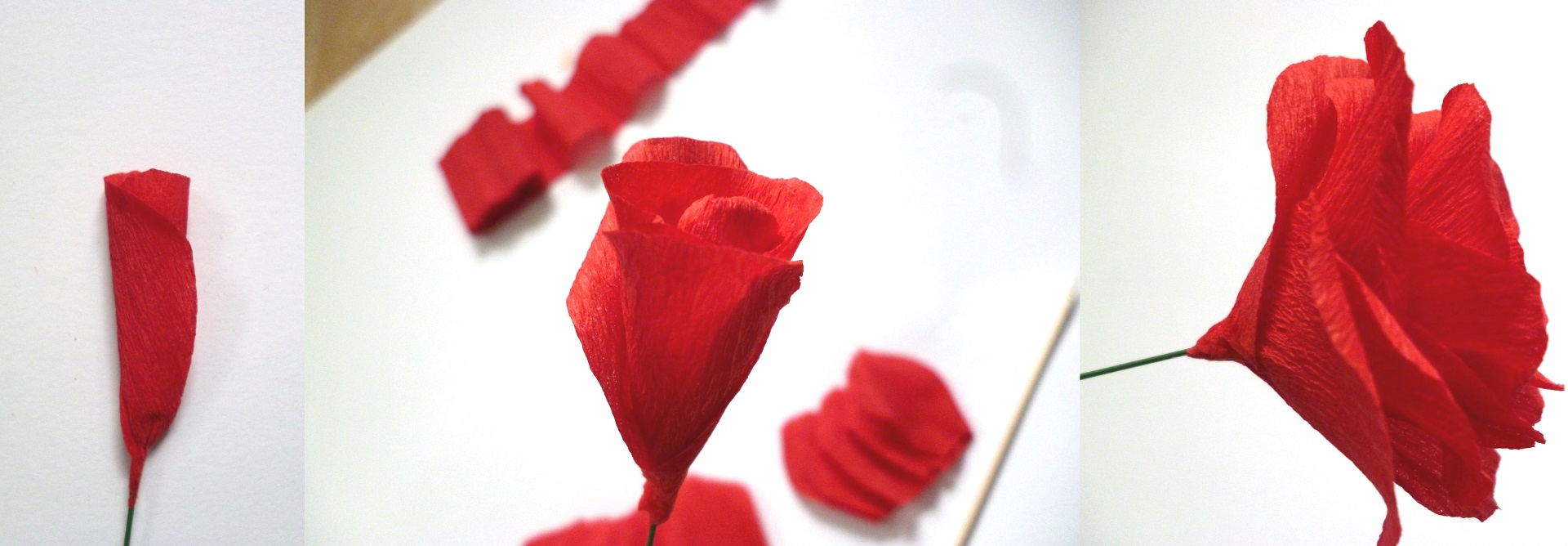 Anleitung: Blumen aus Krepppapier basteln - 3 Varianten