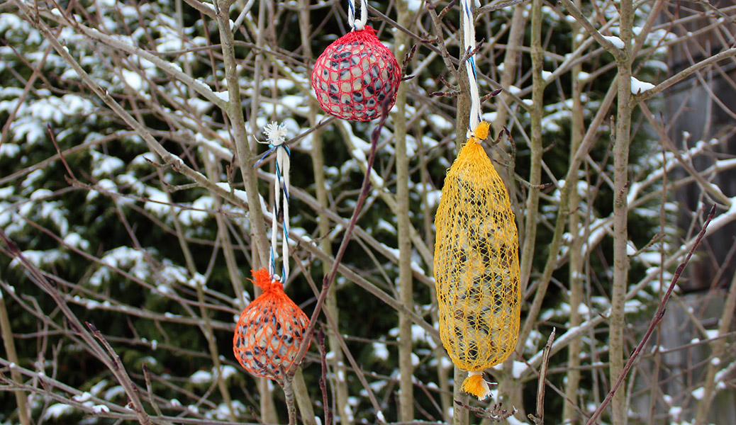 meisenknödel selber machen nabu